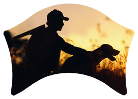 DABAN-311 Gone Hunting (Dog)